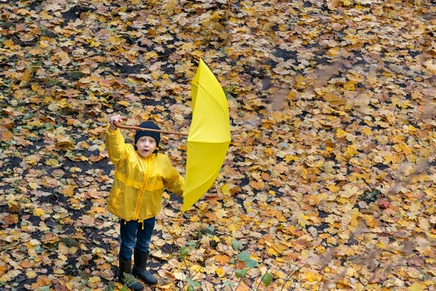 Kind hob den Regenschirm über seinen Kopf. Porträt des Kindes im Herbstpark. Ansicht von oben