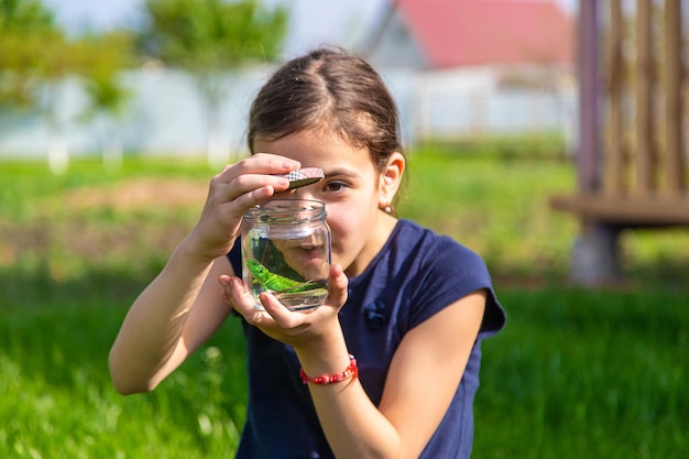 Kind in der Natur mit einer Eidechse. Selektiver Fokus