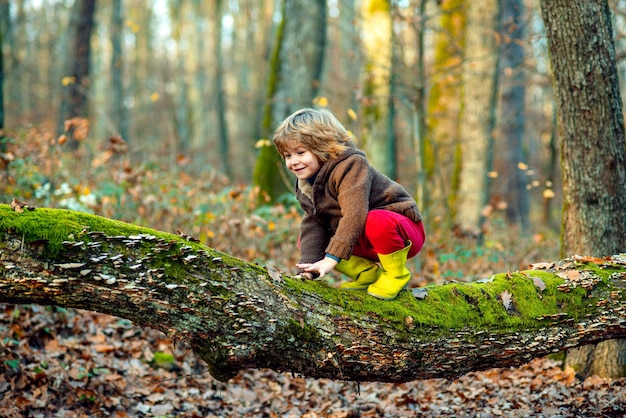 Kind klettert auf Baum, Herbstkinderzeit.