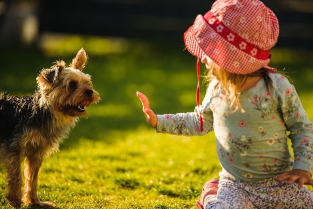 Kind mit einem Yorkshire-Hund auf grünem Gras im Hinterhof, das sich amüsiert