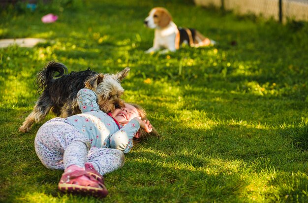 Kind mit einem Yorkshire-Hund auf grünem Gras im Hinterhof, das sich amüsiert