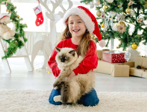 Kind mit Ragdoll-Katze in der Weihnachtszeit