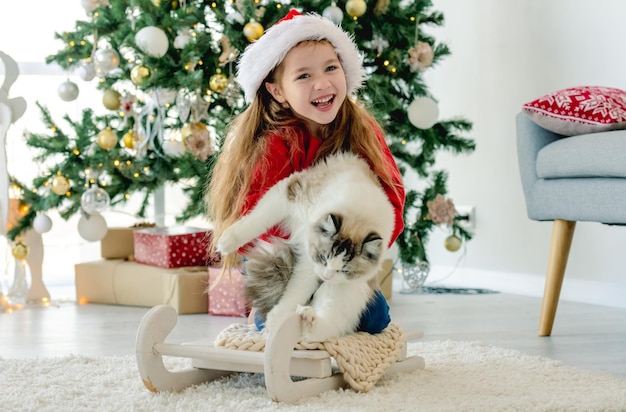 Kind mit Ragdoll-Katze in der Weihnachtszeit