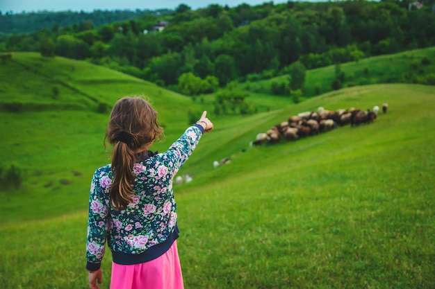 Kind mit Schafen und Ziegen auf der Wiese