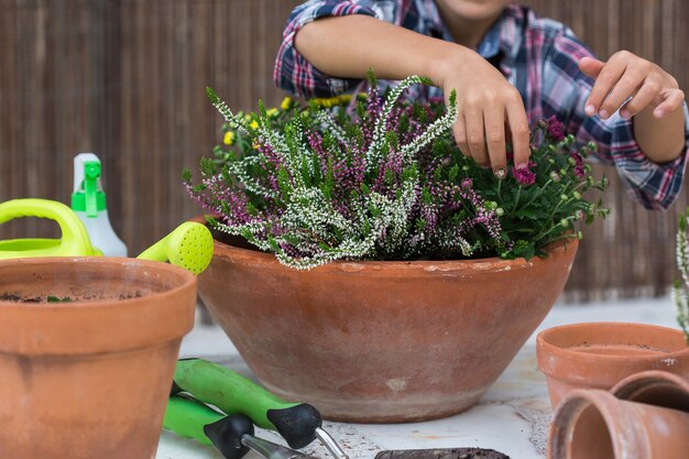 Kind pflanzt Blumen Familienzeit zu Hause