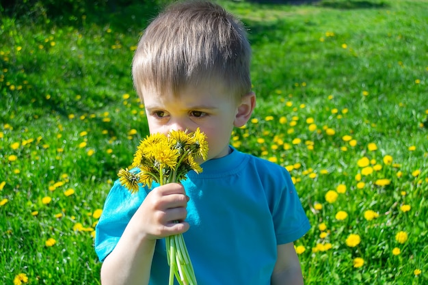 Kind pflückt und schnuppert Blumen Frühlingsallergie
