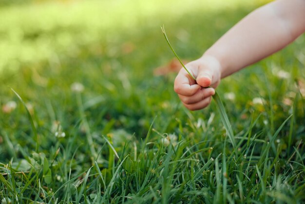 Kind sitzt im Park und spielt mit dem grasgrünen Lebenskonzept