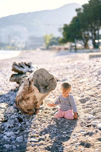 Kind sitzt in der Nähe von Treibholz an einem Kiesstrand