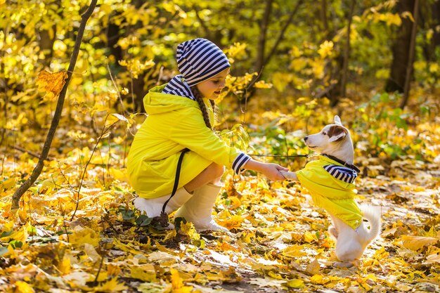 Kind spielt mit Jack Russell Terrier im Herbstwald