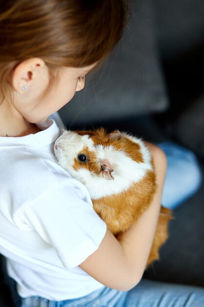 Kind spielt mit Meerschweinchen, Quarantänezeit Kind zu Hause bleiben.