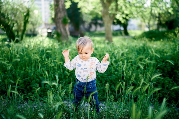 Kind steht mit erhobenen Händen zwischen dem hohen grünen Gras im Park