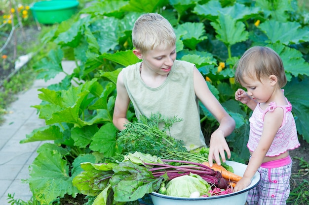 Kinder bei der Gemüseernte im Garten