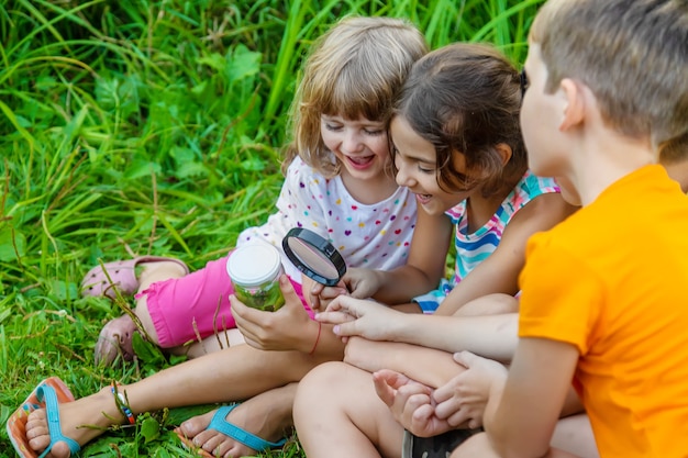 Kinder betrachten die Natur mit einer Lupe. Selektiver Fokus. Natur.