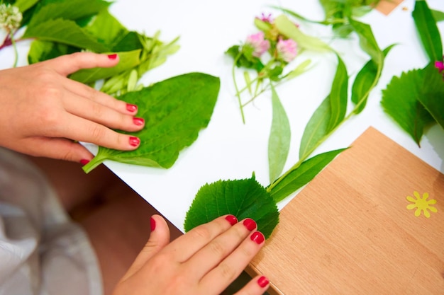 Kinder, die Applikationskomposition mit frischen Blumen machen