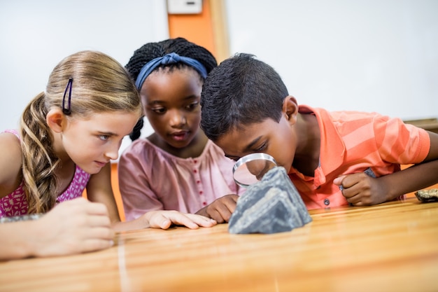 Kinder, die Fossilien mit einer Lupe schauen