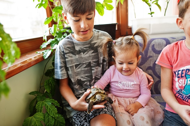 Kinder, die ihre Lieblingshaustiere an den Händen halten. Kinder, die zu Hause mit Hamster, Schildkröte spielen