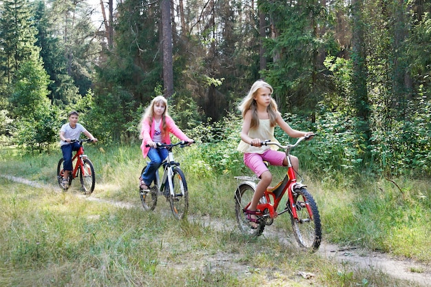 Kinder fahren Fahrrad im Wald