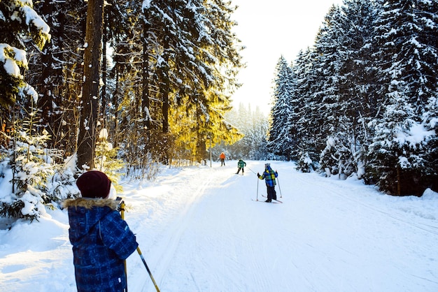 Kinder fahren in einem verschneiten Wald sonnigen Wintertag Ski