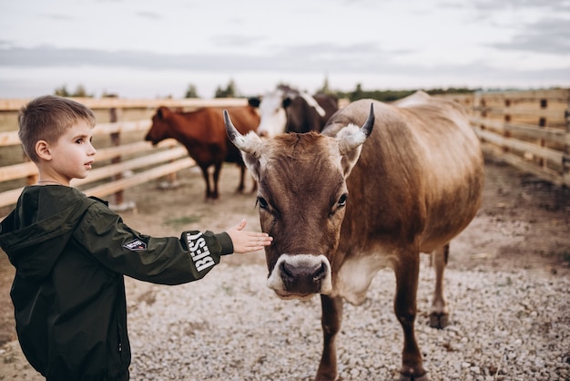 Kinder füttern die Kuh auf dem Bauernhof