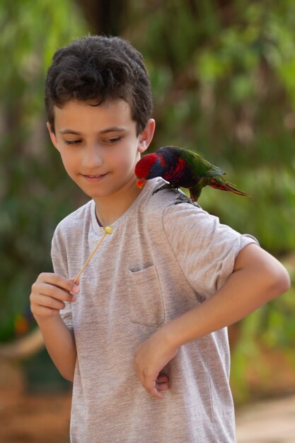 Kinder geben einem Vogel im Park Israel ein Futter