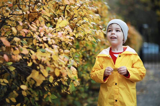 Kinder gehen im Herbst im Herbstpark