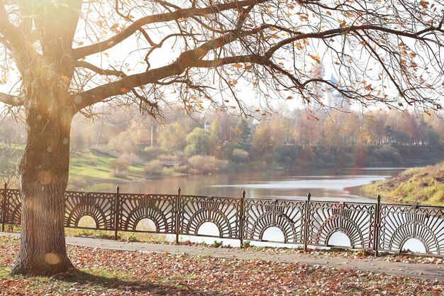 Kinder gehen im Herbst im Herbstpark