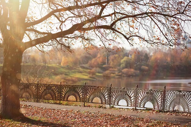 Kinder gehen im Herbstpark spazieren