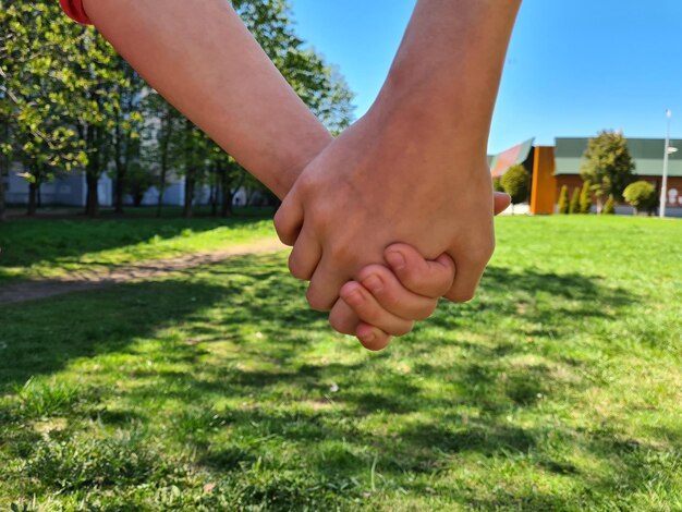 Kinder halten Hände auf grünem Naturhintergrund