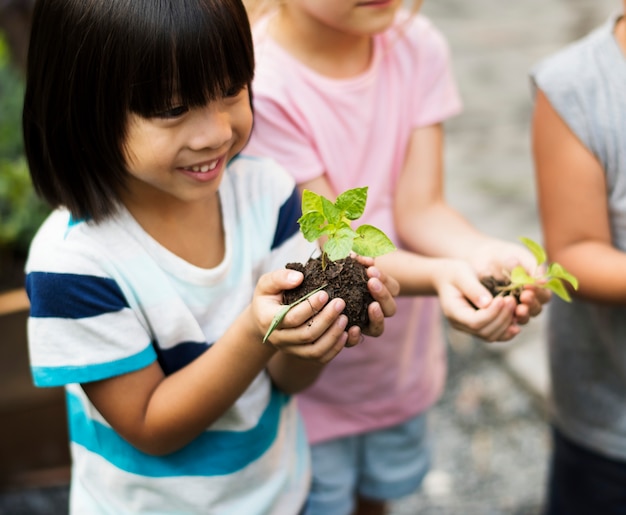 Kinder halten Pflanzen