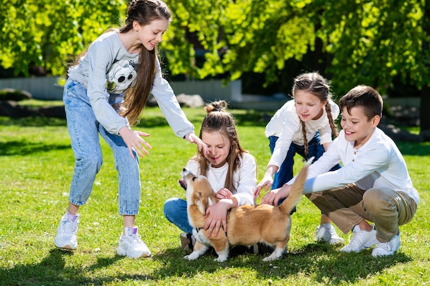 Kinder im Teenageralter spielen an einem sonnigen Tag mit Welpen auf einem grünen Rasen