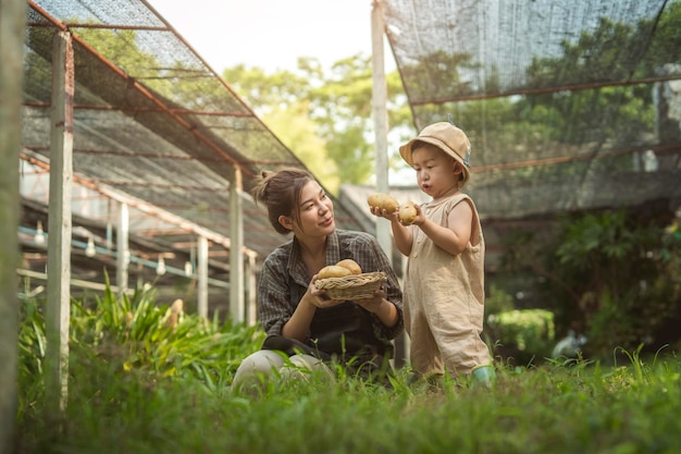 Kinder kleiner Junge hilft seiner Mutter, frisches Bio-Gemüse aus dem heimischen Garten zu holen