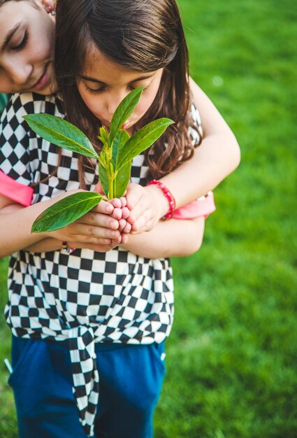 Kinder kümmern sich um den Naturbaum in ihren Händen Selektiver Fokus