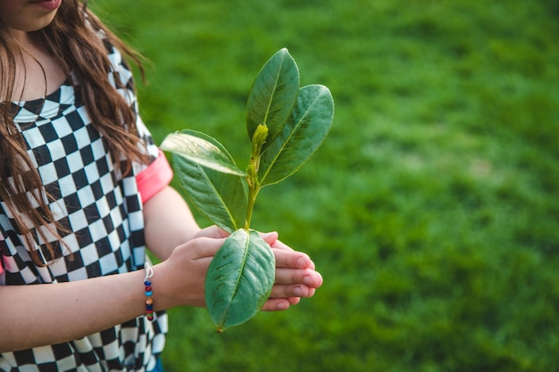 Kinder kümmern sich um den Naturbaum in ihren Händen Selektiver Fokus