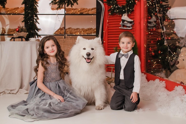 Kinder mit einem Samojedenhund. Neujahr