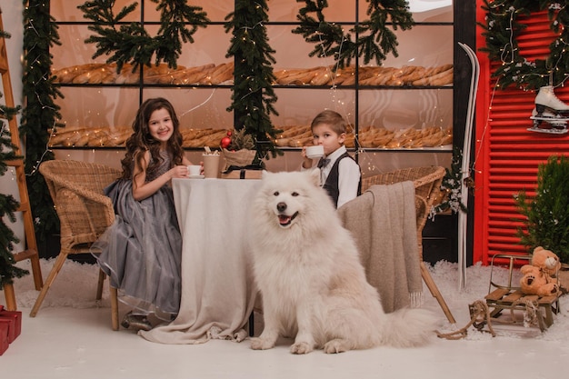 Kinder mit einem Samoyed-Hund Neujahr