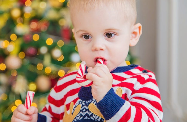 Kinder mit Weihnachtszuckerstangen.