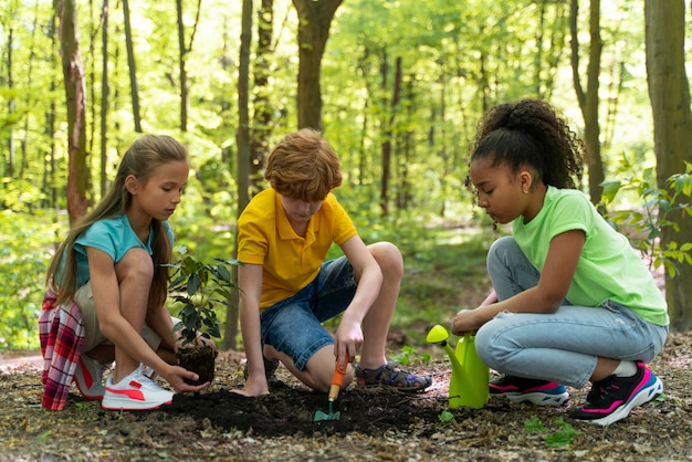 Kinder pflanzen gemeinsam im Wald