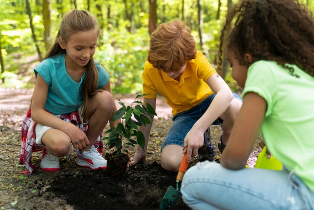 Kinder pflanzen gemeinsam im Wald