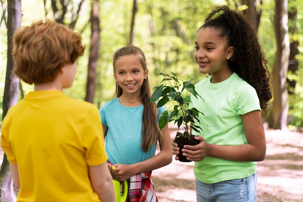 Kinder pflanzen gemeinsam im Wald