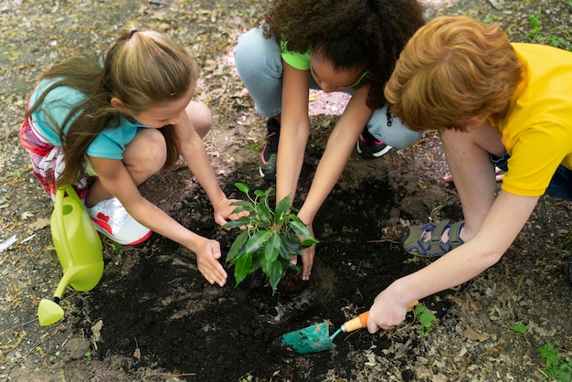 Kinder pflanzen gemeinsam im Wald