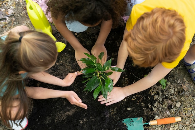 Kinder pflanzen gemeinsam im Wald