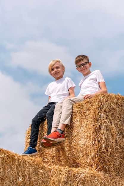 Kinder sitzen an einem sonnigen Tag auf einem Heuhaufen Zwei Freunde sitzen auf dem Heu und schauen auf die Kamera gegen den blauen Himmel Vertikaler Rahmen