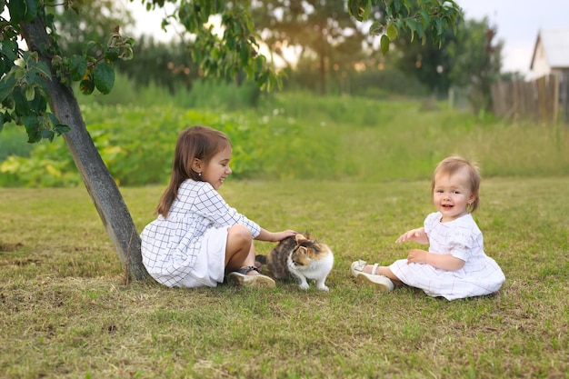 Kinder spielen im Garten mit einer Katze auf dem Rasen