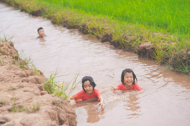 Kinder spielen im Teich mit Reisfeld-Hintergrund im ländlichen