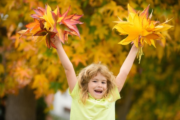 Kinder spielen mit Herbstlaub im Park Kinder werfen gelbe Blätter Kind Junge hält Ahornblatt