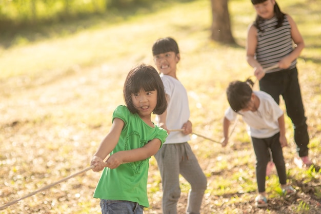 Kinder spielen Tauziehen im Park auf Sunsut