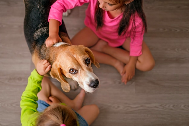 Kinder streicheln den Hund, der im Haus auf dem Boden sitzt