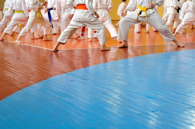 Kinder trainieren auf Karatedo Foto ohne Gesichter von hinten