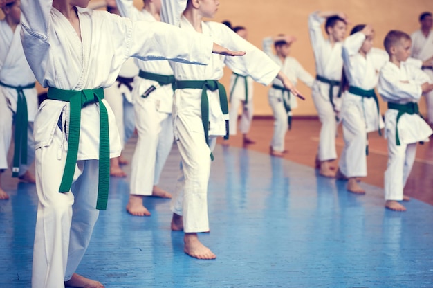 Kinder trainieren auf Karatedo Junge Athleten in traditionell weißen Kimonos mit farbigen Gürteln Banner mit Platz für Text Retro-Stil Für Webseiten oder Werbedruck Foto ohne Gesichter