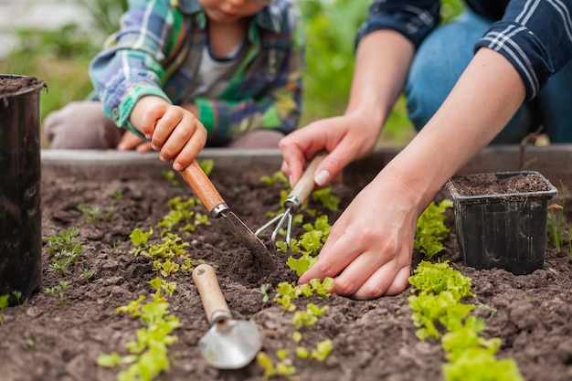 Kinder- und Muttergartenarbeit im Gemüsegarten im Hinterhof